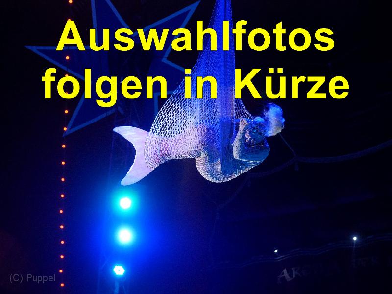 Z Auswahlfotos folgen.jpg